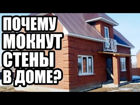 ПОЧЕМУ МОКНЕТ СТЕНА В ДОМЕ? Как высушить стену и штукатурку, убрать грибок и плесень в квартире?