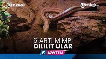 6 Arti Mimpi Dililit Ular, Pertanda Masalah Keuangan Hingga Hubungan