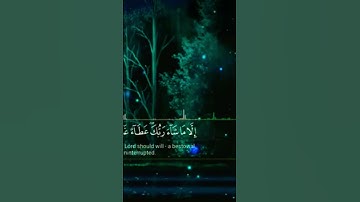 وَأَمَّا الَّذِينَ سُعِدُوا فَفِي الْجَنَّةِ || القارئ إِسلام صبحي || تلاوة هادئة من سورة هُود 🌿♥️'