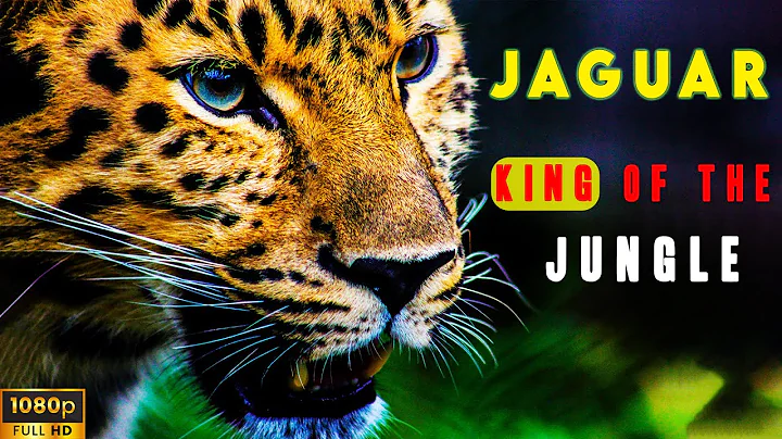 Jaguar: The True King of the Jungle