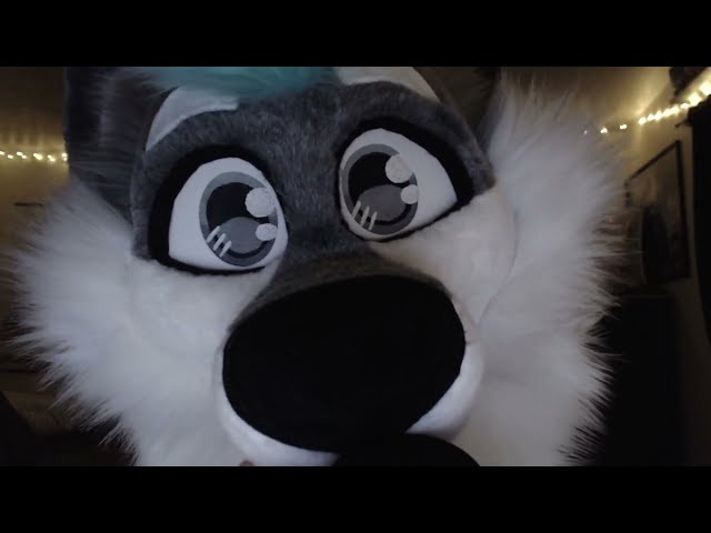 BIG SNOOT, MANY SNIFFS [FURRY ASMR]