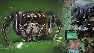 How to Take Better Macro Photos in the Field