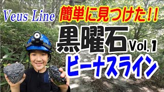 簡単に見つかった！！【ビーナスライン･霧ヶ峰】特大黒曜石 発見！