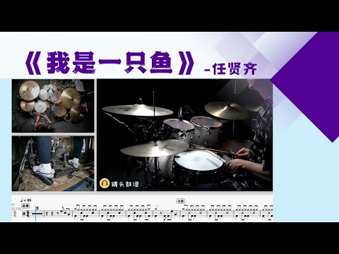 《我是一只鱼》 - 任贤齐