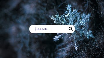 How To Make A Search Bar Using HTML And CSS