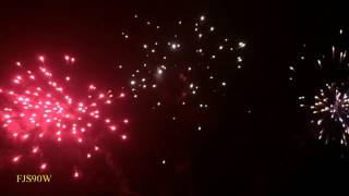 FJS90W Веер 1.2 90 shots W cake W shape red / white / blue peony