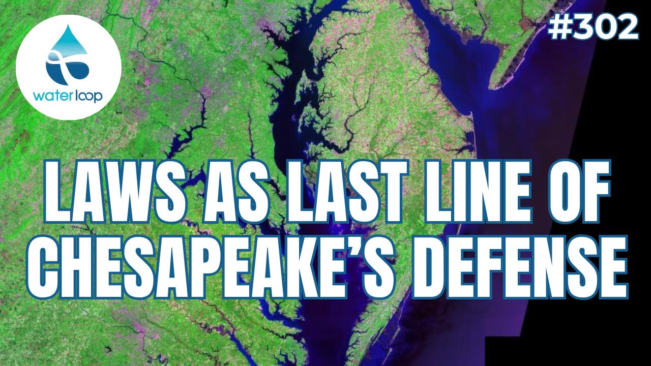 When Law Is Last Line Of Defense For Chesapeake Bay