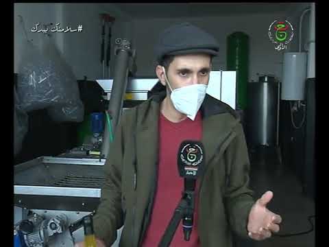 الأغواط نموذج لمستثمرة فلاحية ناجحة في شعبة الزيتون