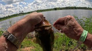 South Georgia Bass Fishing