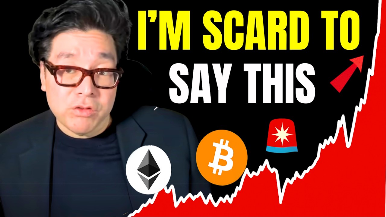 Том Ли: «Всем владельцам биткоинов необходимо немедленно подготовиться к тому, что нас ждет».