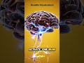 part_7_| what happened when eat mushroom🍄 benefits and side effects #health #humanbody #science#food