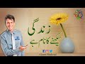 Life is the name of learning.زندگی سیکھنے کا نام ہے