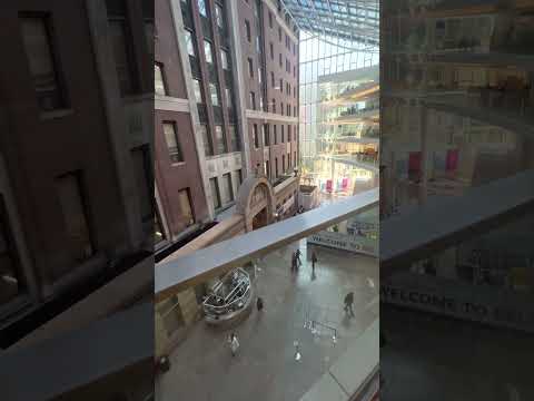 Bellevue Hospital by Visiones Espirituales