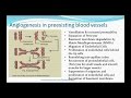 Angiogenesis (HD)