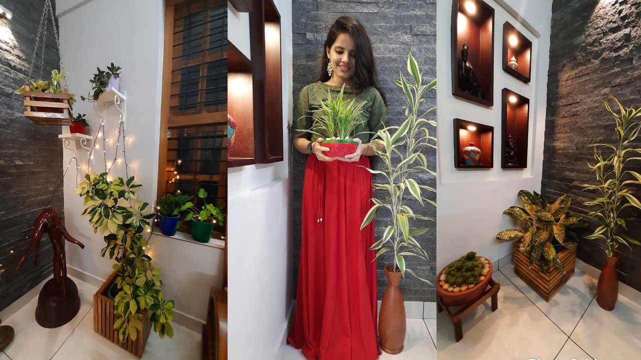 Living room decor with Indoor plants | Best INDOOR PLANTS for