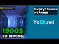 Виртуальный майнинг от YoBit.net - показываю результаты за месяц 🔥