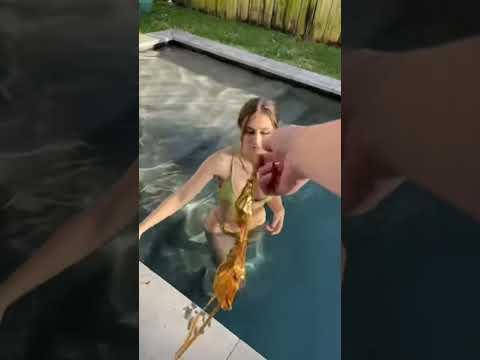 Viralvideo Hot Xnxxvideo Brachallange Hot Status Reels Tranding 