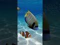 #speedsong #fish #lifeisbutadream #ocean #music #aquarium
