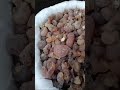گوند ببول کیکر کا گوند
