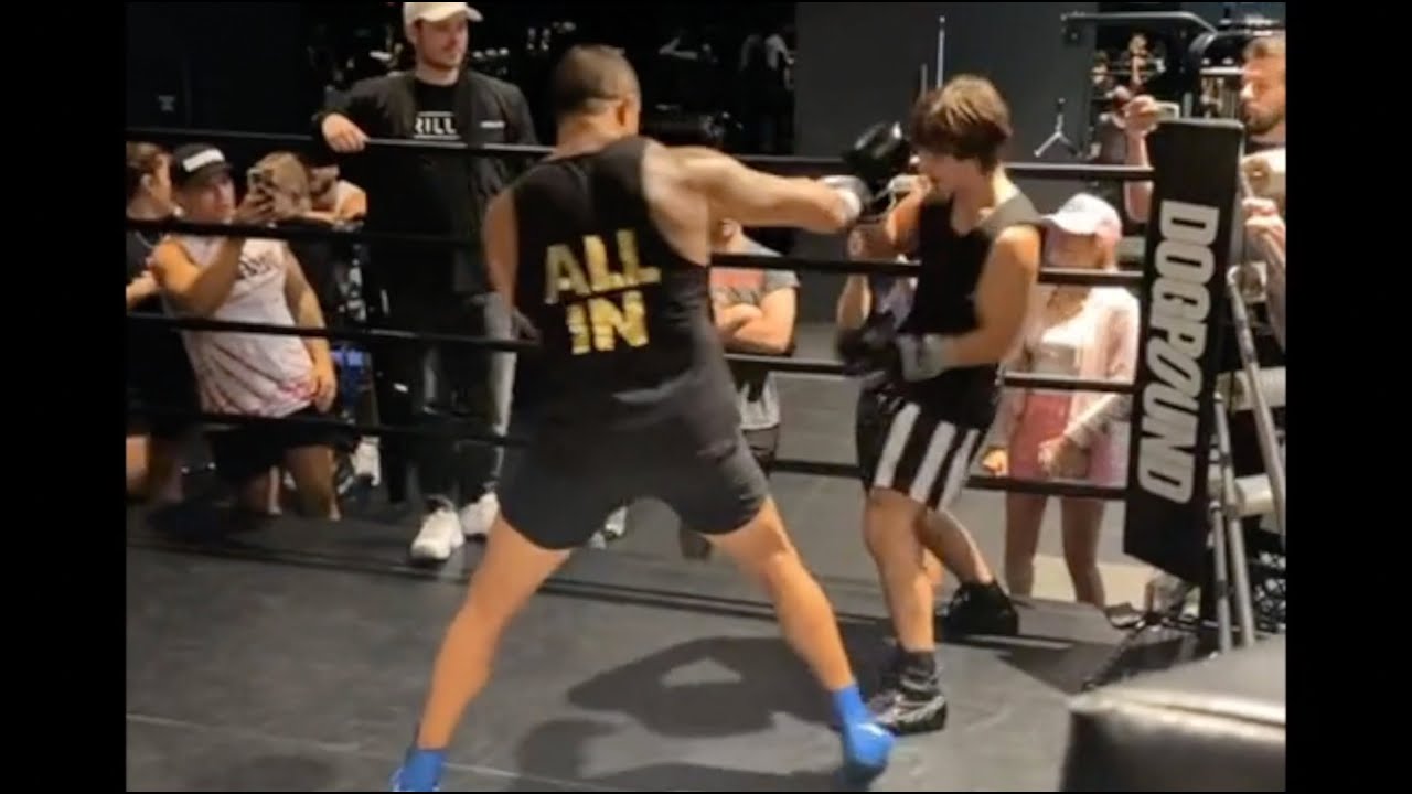 Bryce Hall Gets KO&#39;d By Vitor Belfort - YouTube