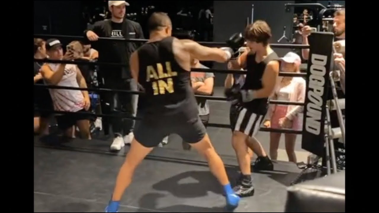 Bryce Hall Gets Ko D By Vitor Belfort Youtube Bryce Hall Gets Ko D By Vitor Belfort Youtube