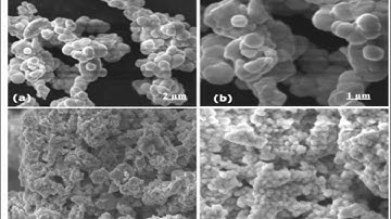 Biological Synthesis of ZnO-CeO2 Nanopartciles for Bilogical Applications