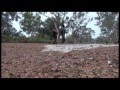 Todd River flood Jan, 2015.Northern Territory. Awesome stuff.