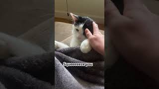 How Can You Be So Cute?