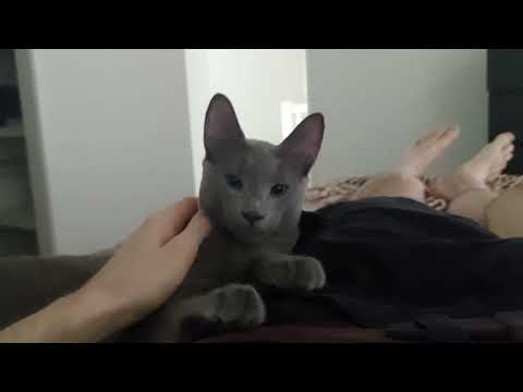 My Cat Friend & I Hanging Out