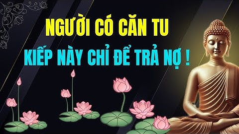 Người Có Căn Tu - Kiếp Này Chỉ Để Trả Nợ / Tu Tâm Tĩnh Lặng