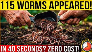 An 82-Year-Old Poured Coffee Grounds Here — 115 Worms Appeared in 40 Seconds ($0 Cost)