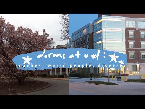 a dorm guide to u of i housing from a student