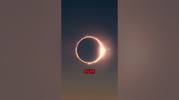 You Must Not Miss This Cosmic Event — Solar Eclipse 2026 #space #universe #astronomy #birdtrend