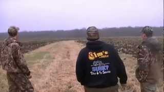 Waterfowl hunting in wisconsin