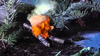 Climate Change Through the Eyes of 5th Graders: Temperate Forest