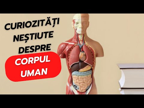 Curiozități neștiute despre corpul uman | vreausastii