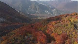 Relaxing bongo music with nature for meditation or sleep 2023