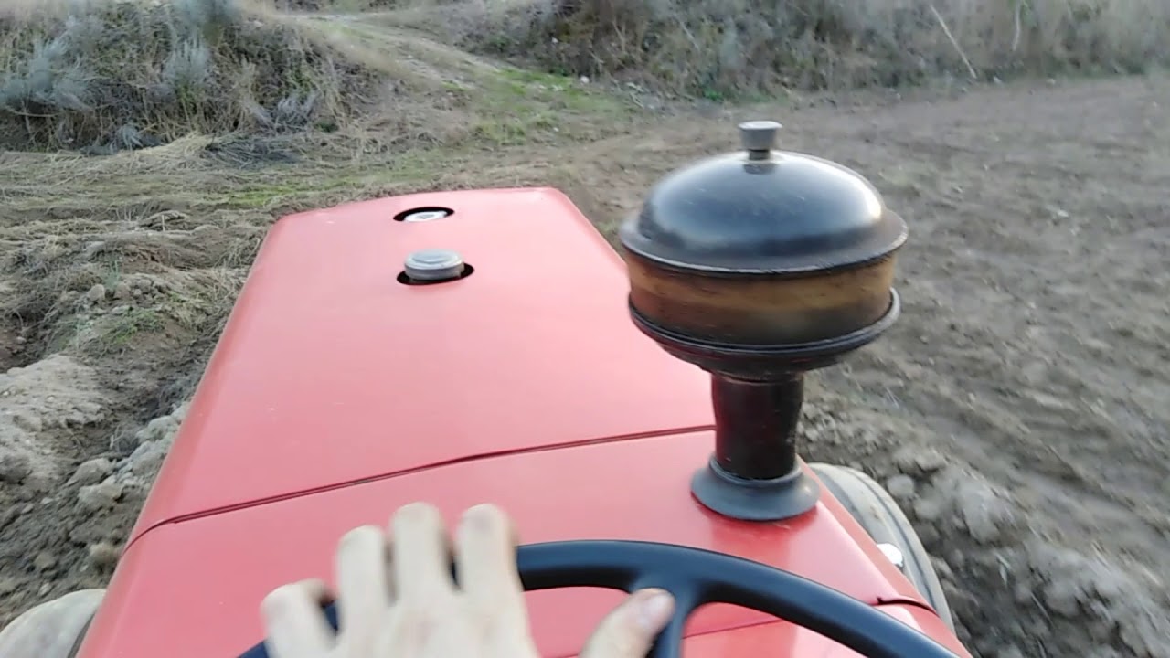 MF 240 com grade de discos