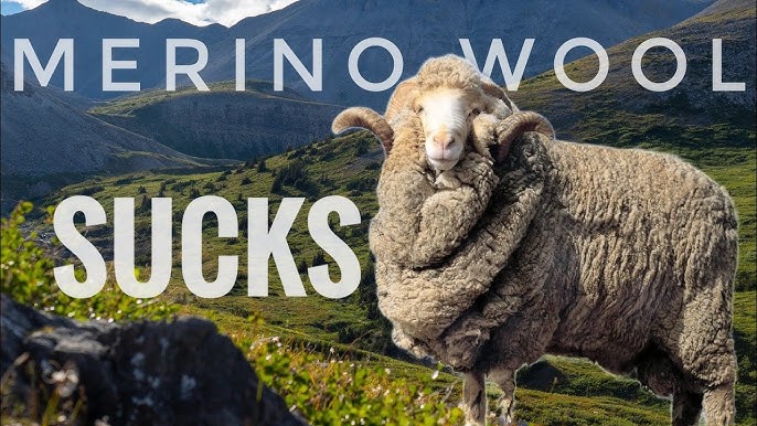 5 Clothing Essentials to Pack for Japan - Unbound Merino Wool
