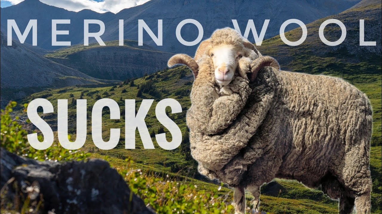 Merino Wool is Overrated! 