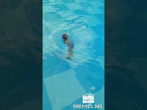 Kỹ Thuật Flip
