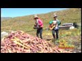 JUANA ALVAREZ Y GRUPO SUEÑOS DE AMOR (JIYAWA)
