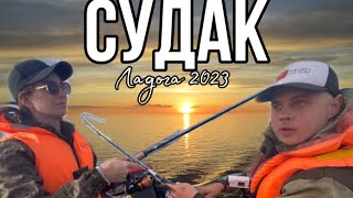 картинка: Судак. Ловля судака на Ладоге 2023. База отдыха Креницы.