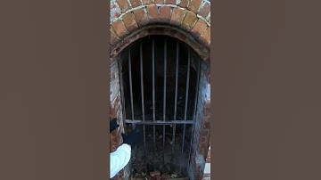 Found A WW2 Ammunition  Bunker Hidden On A Hill #shorts #bunker #exploring