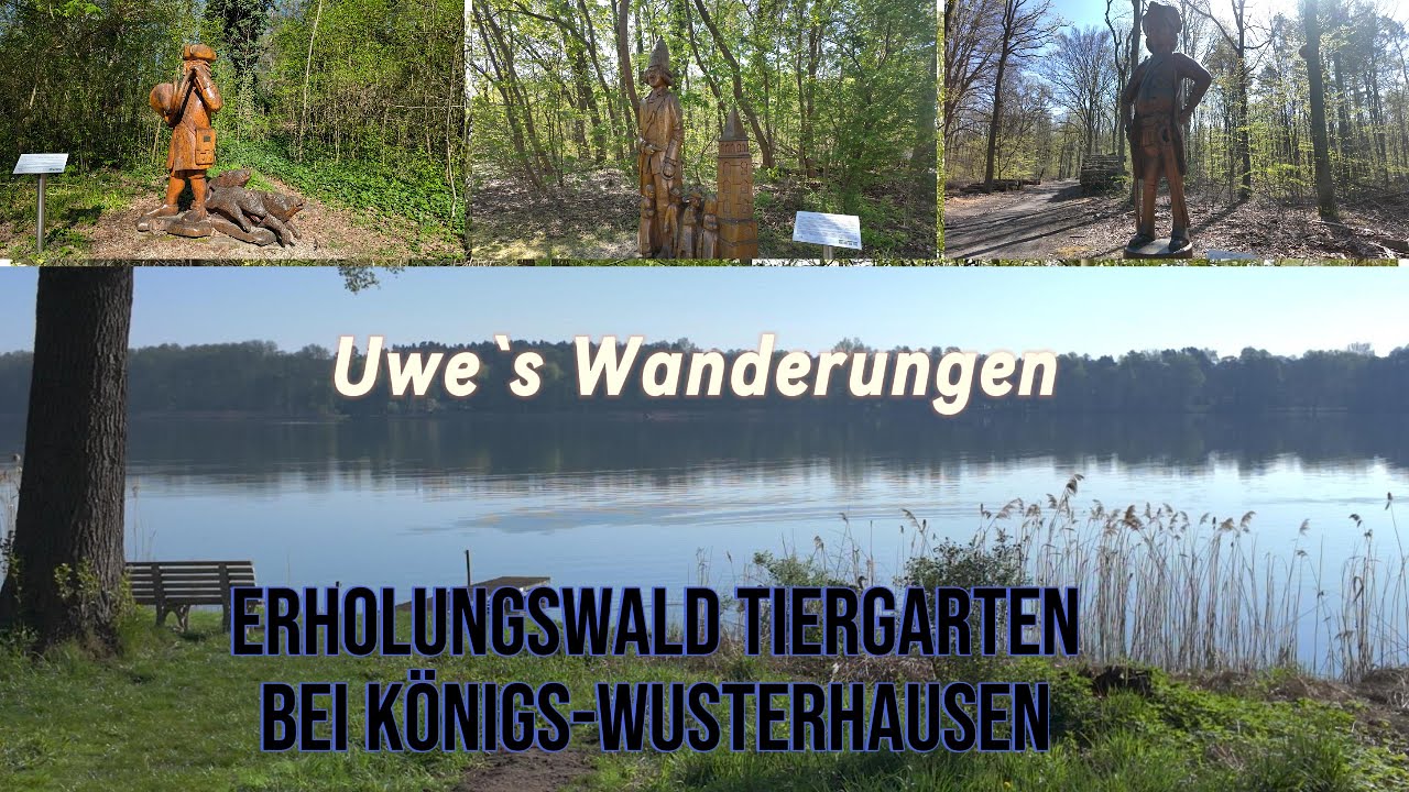 Wanderung - Erholungswald Tiergarten bei Königs-Wusterhausen