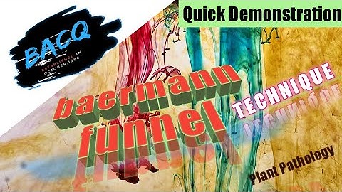 baermann funnel technique/isolation of nematodes from soil