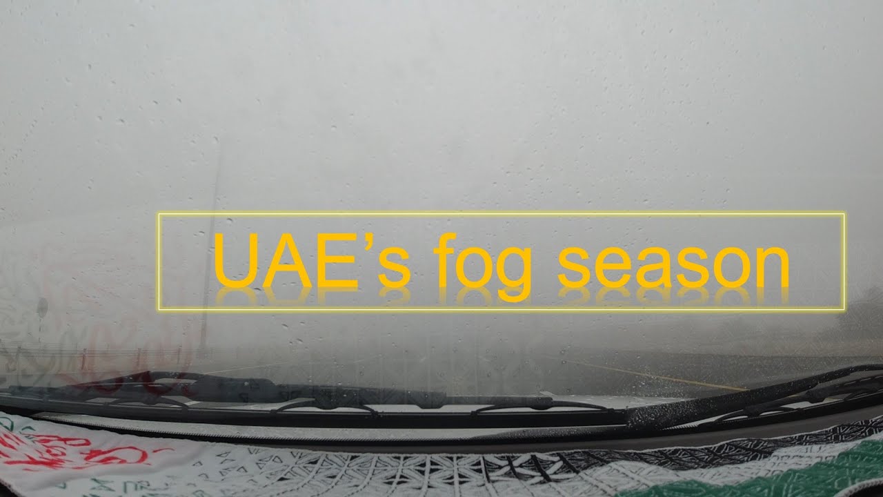 Ruwais to Abu Dhabi | UAE's fog season | Foggy road condition | Dense Fog | Al dhannah