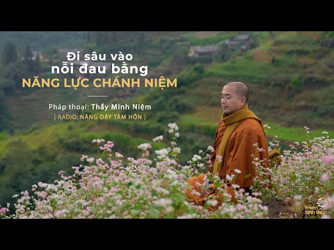 Video: Làm thế nào chánh niệm với chó có thể được chữa lành bằng cảm xúc