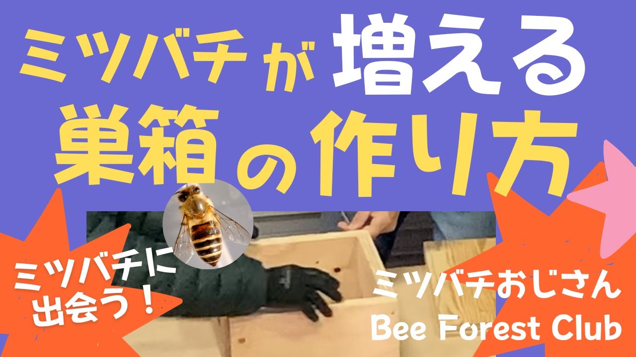 巣箱あげます！！日本ミツバチ巣箱の作り方と巣箱管理の仕方。ミツバチ
