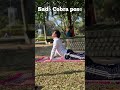 Control your emotions through these asanas 🧘♀️❤️ #viralvideo #yogaskills #yogajourney #motivation